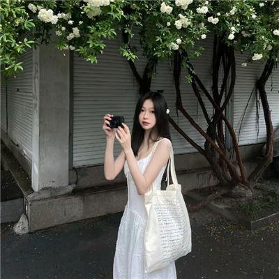 风流世家